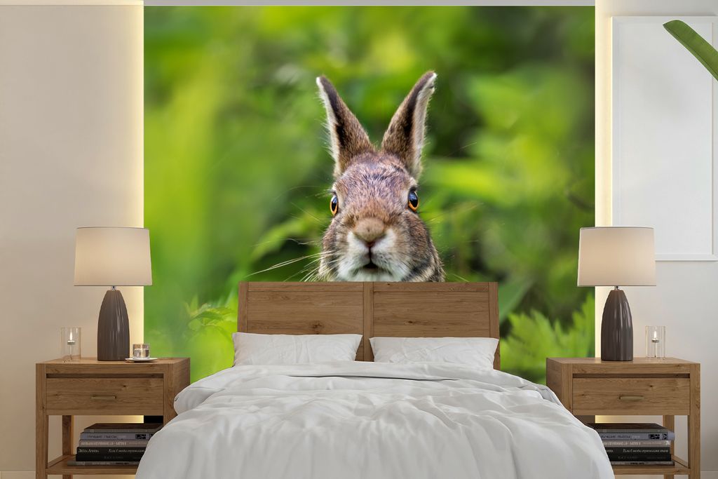 MuchoWow Fototapete für Wohnzimmer oder Schlafzimmer Wandtapete Vinyl Motivtapete Kaninchen - Gras - Grün - 350x350 cm - Schlafzimmertapete