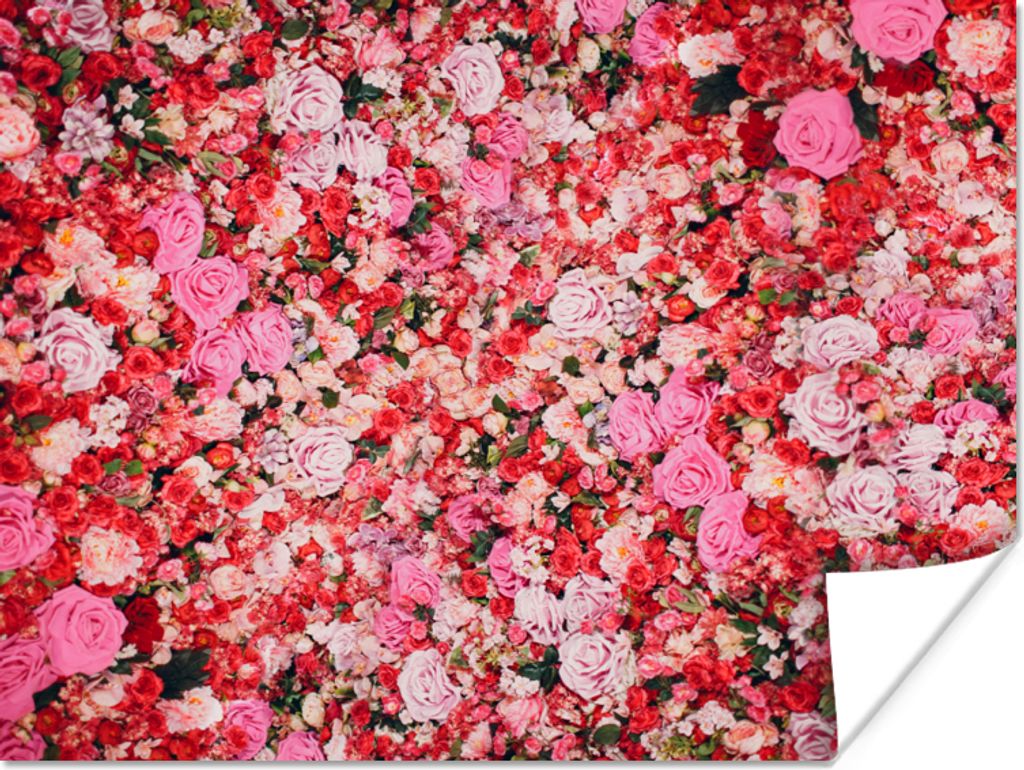 MuchoWow Poster Blumen - Farben - Rosen 160x120 cm - Foto Plakat
