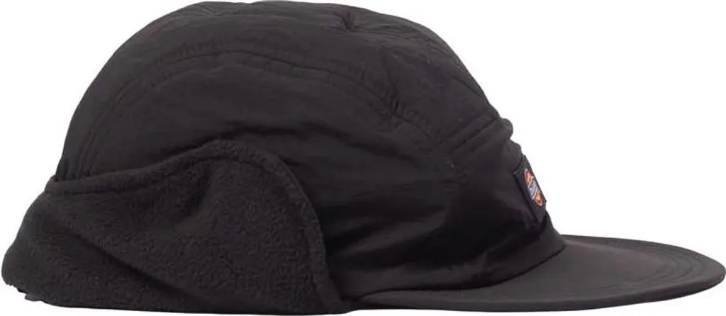 Casquette homme Dickies Glendive idéale pour le travail en extérieur