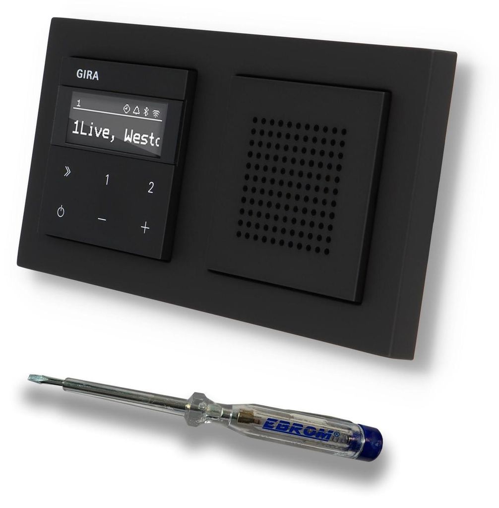 Gira Unterputz IP Internetradio 232003 + Bluetooth Produktbild 