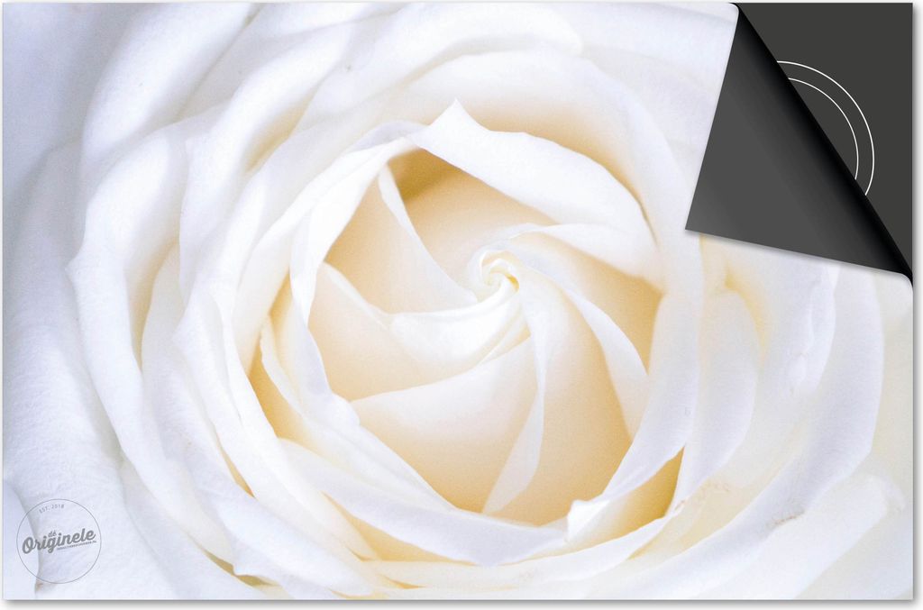 Induktionsschutz 77x51 - abdeckplatte Induktion matt- Dietrix Kochfeldschutz- Base - Blumen und Pflanzen - Weißte Rose