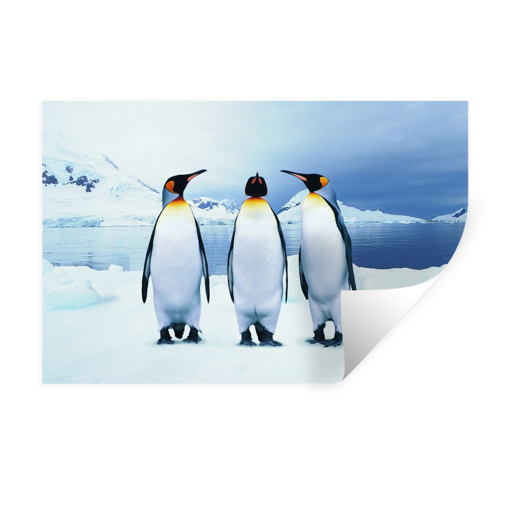 MuchoWow Wandtattoo Wandsticker Wandaufkleber Drei Pinguine Porträt 90x60 cm Selbstklebend und Repositionierbar - Aufkleber