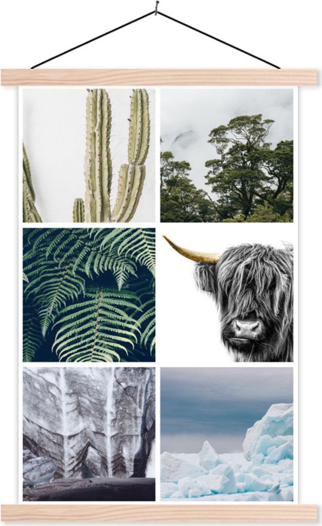 MuchoWow Textilposter Schottisches Hochlandrind - Collage - Kaktus - Pflanzen 40x60 cm mit holzfarbenen Rahmen - Poster