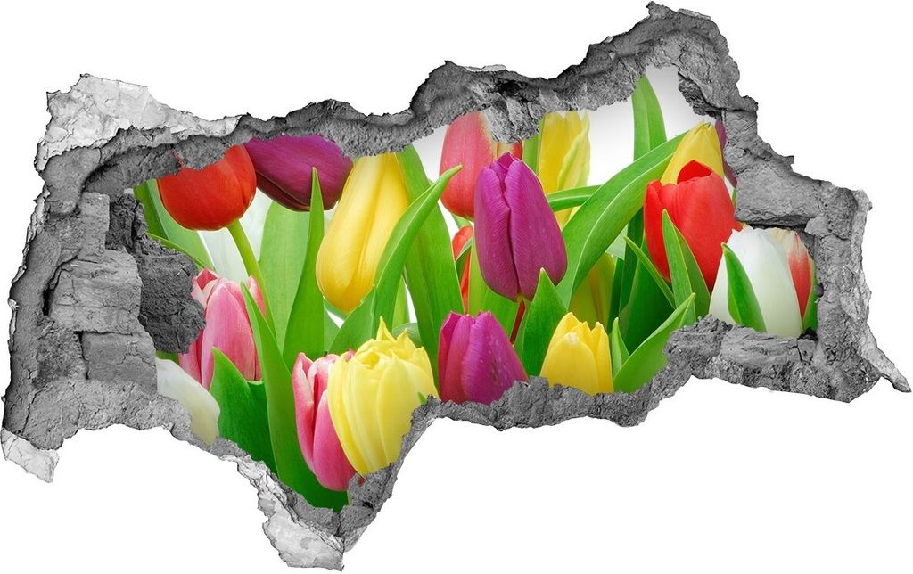 Selbstklebender Loch-3D-Aufkleber 95x73 cm bunte Tulpen