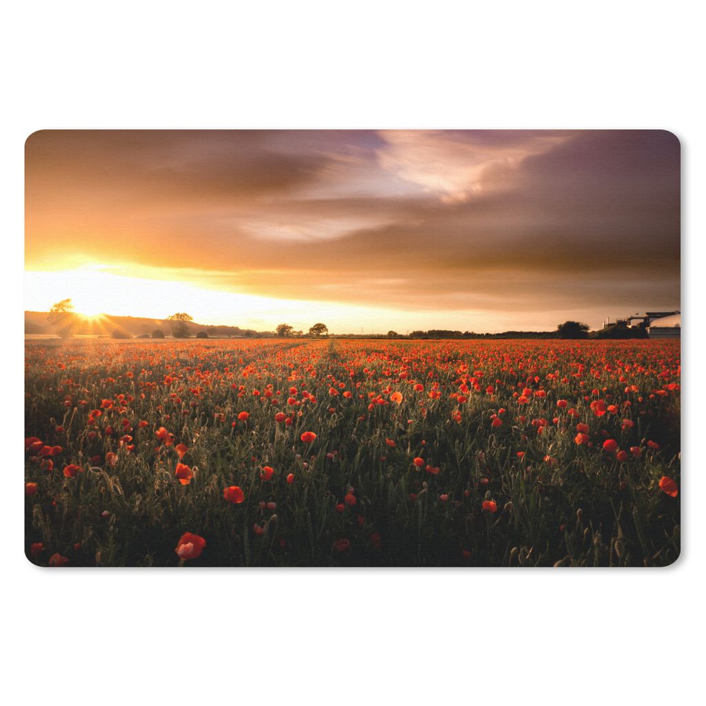 MuchoWow Schreibtischunterlage Sonnenuntergang über den Mohnblumen in England 60x40 cm - XXL Mauspad - Großes Mauspad
