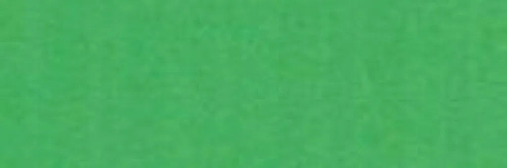 Papier Cartonné Vert B1 270g - Support de Création Rigide 3956