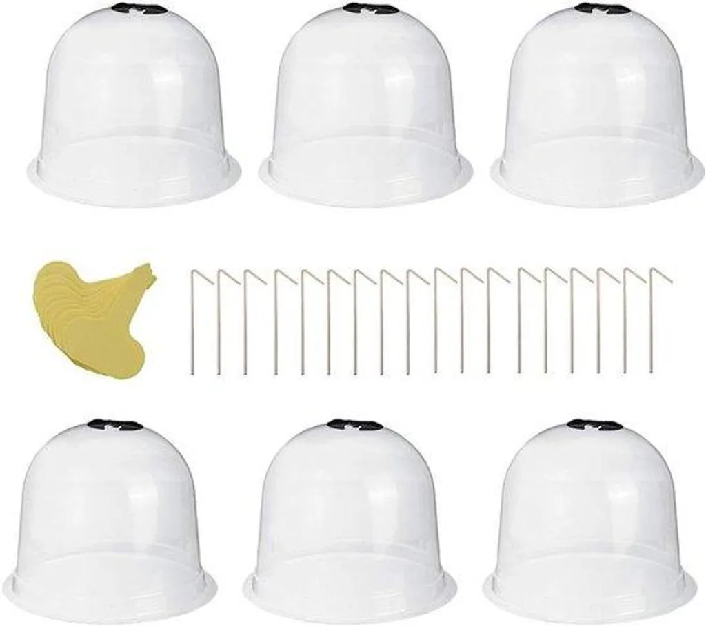 Protection de plants pour potager - Serre cloche contre froid et vent