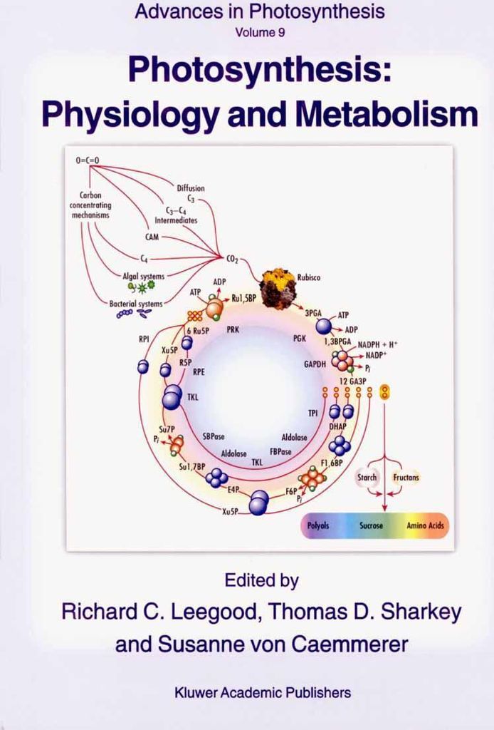Photosynthesis: Physiology and Metabolism