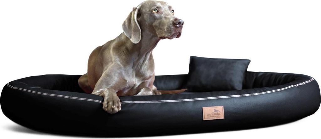 tierlando Orthopädisches Hundebett GILBERT ORTHO Soft LATEX Velours Kunstleder - Größe: 100x85cm | Farbe: 03 Schwarz