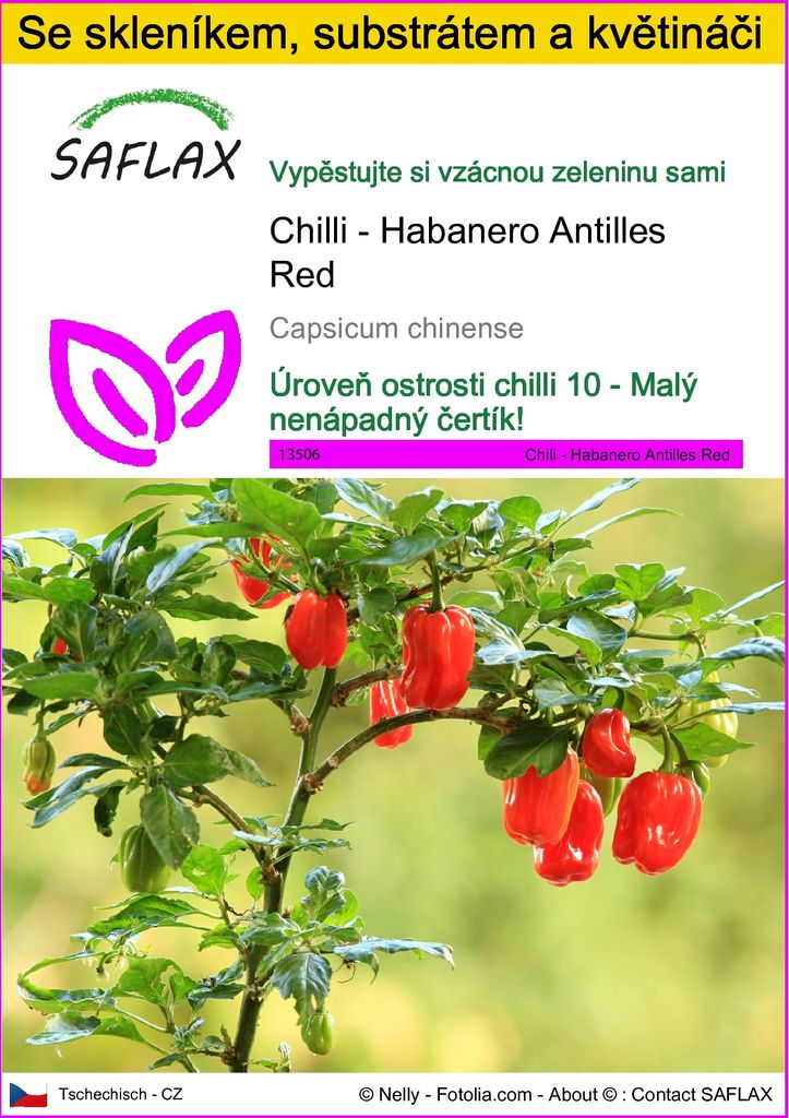 SAFLAX Kultivační sada - Chilli - Habanero Antilles Red - Obrázek produktu 