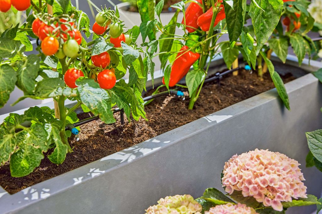 Gardena 13400-20, 15 m, Schwarz, Grün Produktbild 