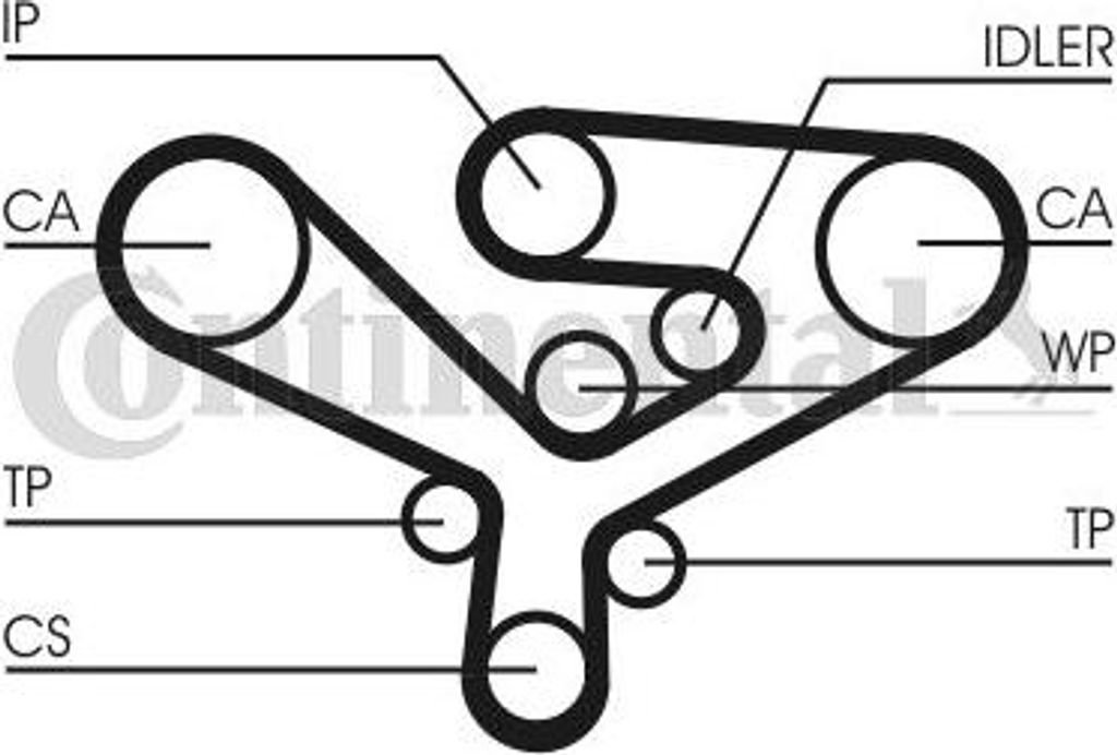 CONTINENTAL CTAM CT1135 Zahnriemen OE 057109119D kompatibel mit A8 4D