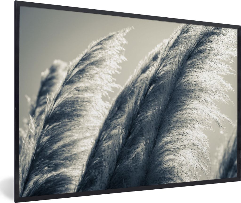 MuchoWow Gerahmtes Poster Pampasgras - Schwarz - Weiß - Natur 90x60 cm - Poster mit Schwarzem Bilderrahmen Wandposter Rahmen Foto Bilder - Fotor...