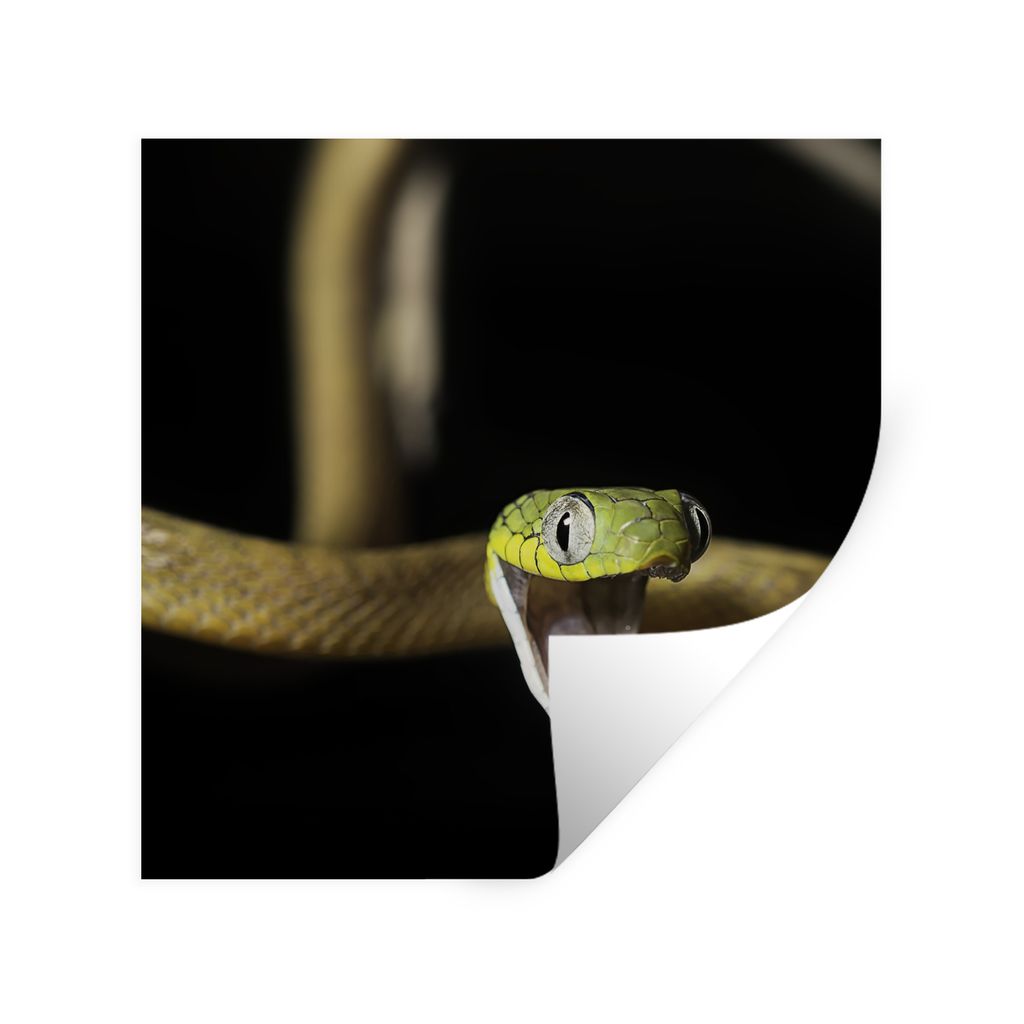 MuchoWow Wandtattoo Wandsticker Wandaufkleber Schlange - Tier - Schwarz 30x30 cm Selbstklebend und Repositionierbar - Repositionierbar - Wasser a...