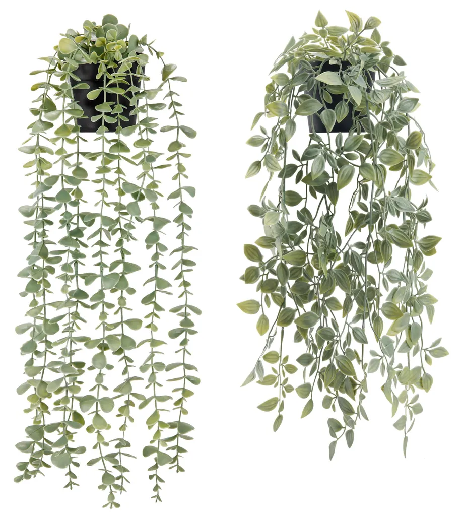 Plantes artificielles murales réalistes en pots noirs - Pack de 2