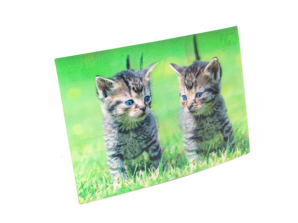 Wee Blue Coo Katzen-Karte – Lustige 'Purrfect' Geburtstags- Oder Gute-Besserung-Karte (17,5x12,5 Cm)