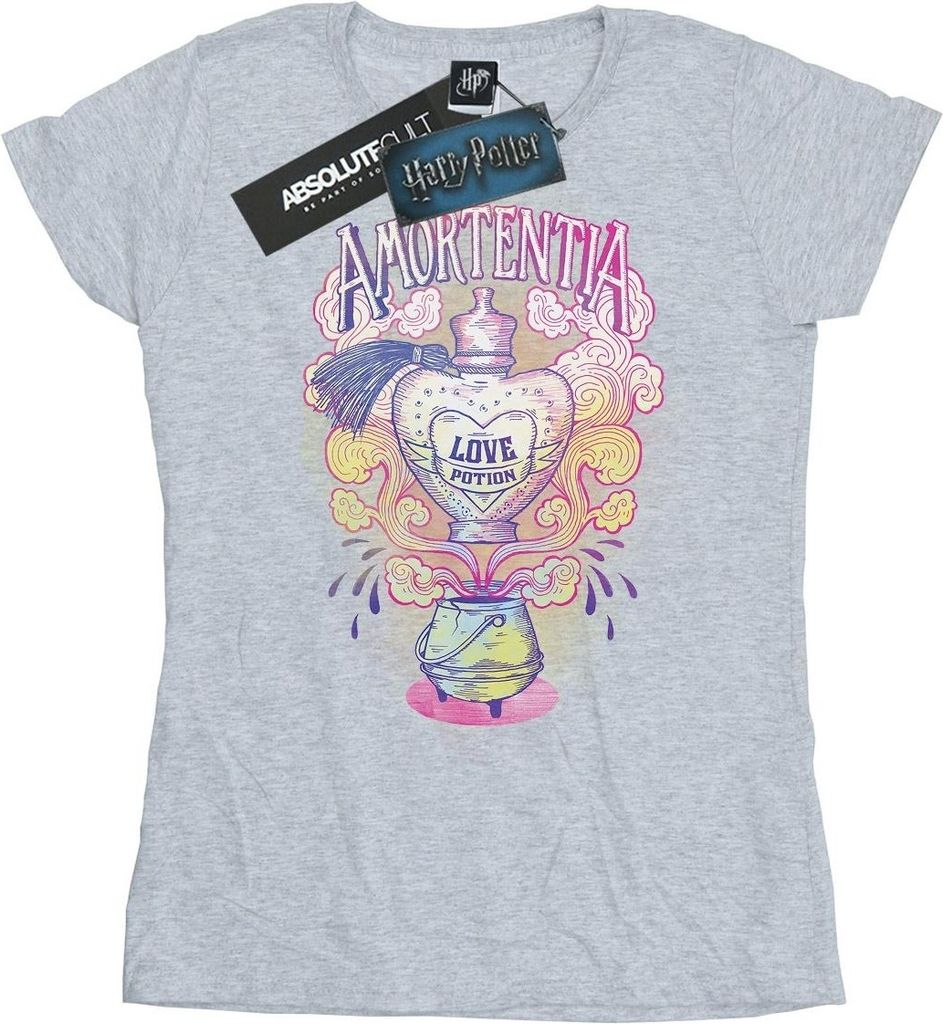 Harry Potter - T-Shirt für Damen BI23603 (M) (Grau)