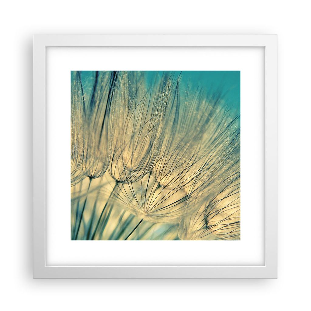 Gerahmtes Poster - Weißer Rahmen - Löwenzahn Makro Löwenzahn - 30x30 cm - Wand Bild - Wanddeko - Wandbilder - Kunstposter - Wandposter - Bilderr...