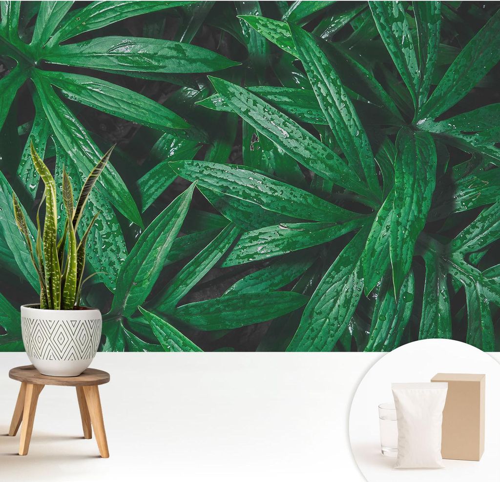 Fototapete - 208x146 cm - Tapete - Wandtapete - Wandbilder - Dekofolie - Tapete Folie - Wand - Dekoration - Wohnzimmer - Natürliches Grün