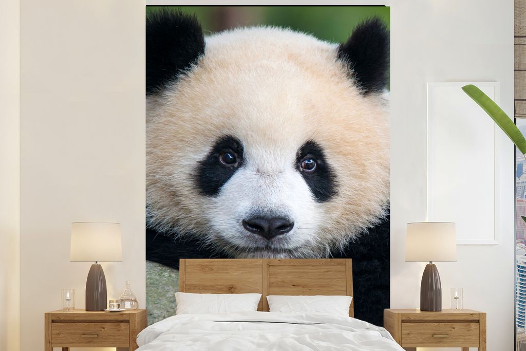 MuchoWow Fototapete für Wohnzimmer oder Schlafzimmer Wandtapete Vinyl Motivtapete Panda - Wildtiere - Porträt - Stein - 145x220 cm - Wanddekora...