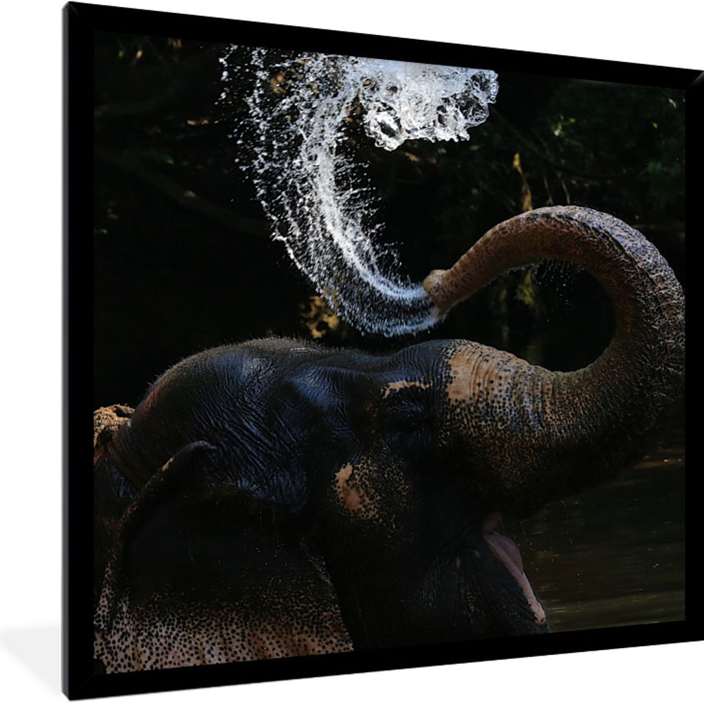 MuchoWow® Gerahmtes Poster Elefant spuckt Wasser 40x40 cm - Produktbild 