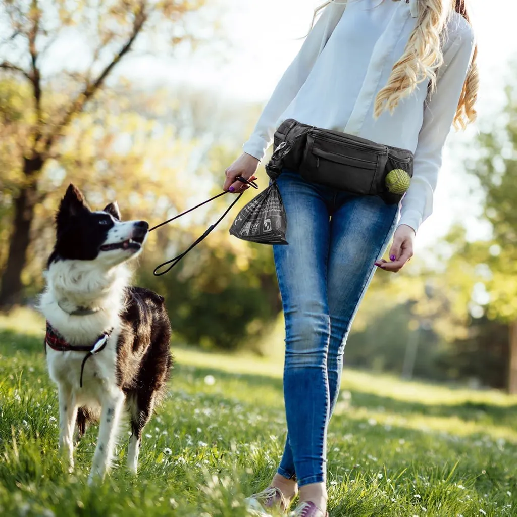 Pochette de dressage pour chien et sacoche de hanche multifonctionnelle