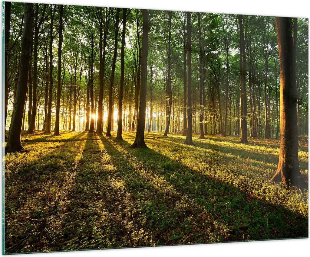 Bilder auf glas - Wald grün Sonnenstrahlen Natur - 100x70cm Produktbild 