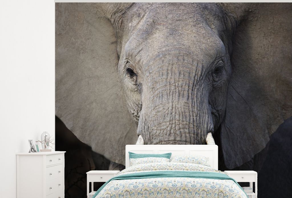 MuchoWow Fototapete für Wohnzimmer oder Schlafzimmer Wandtapete Vinyl Motivtapete Nahaufnahme eines Elefanten - 300x240 cm - Fototapeten