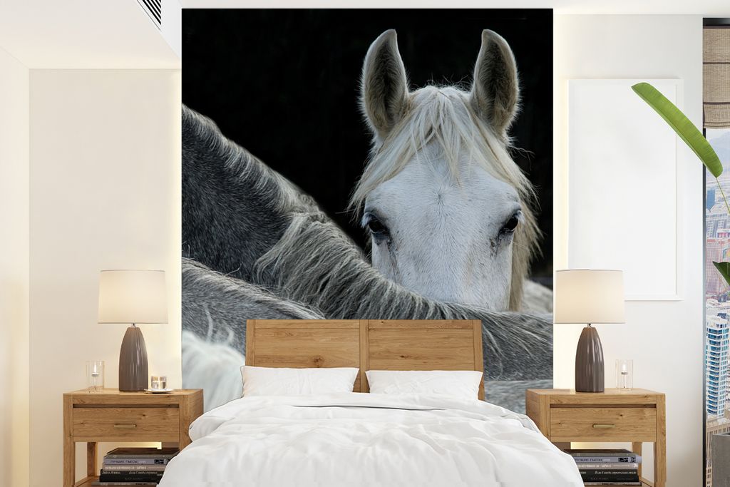MuchoWow Fototapete für Wohnzimmer oder Schlafzimmer Wandtapete Vinyl Motivtapete Pferde - Tiere - Schwarz - Weiß - 165x220 cm - Wanddekorationen