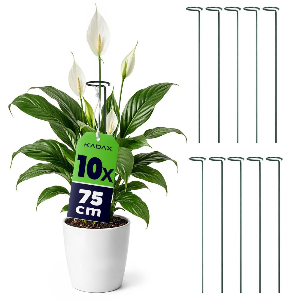 KADAX Pflanzenstützen 75 cm, 10er Set, Blumenstützen aus Stahl, Pflanzenhalter für Zimmerpflanzen, Metall Pflanzstäbe zur Stabilisierung von St...