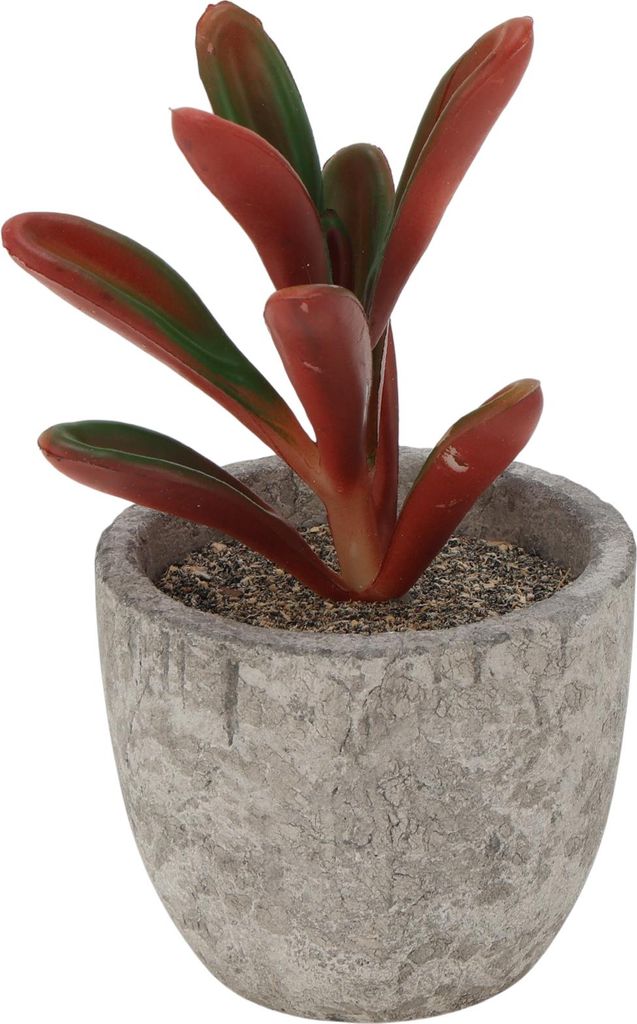 Künstliche Sukkulente Pflanze Typ 1 Büro Schreibtisch Deko Zubeh?r Künstliche Papp Pflanzen Indoor Für Raum Bad Küche Deko