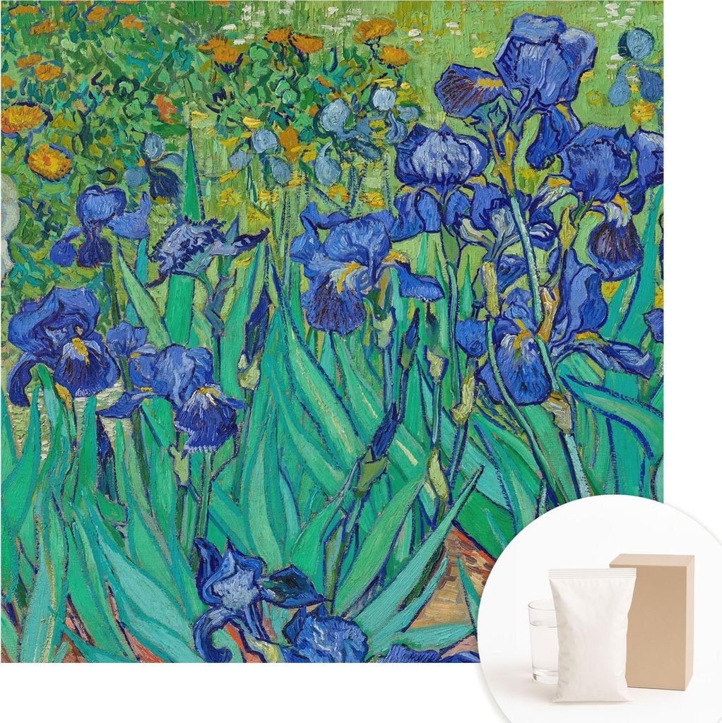 Fototapete - Wandbilder für Wohnzimmer - 250x250 cm - Dekorative Wandfolie - Modernes Design für Wanddekoration - Tapeten für Innenräume - Gart...