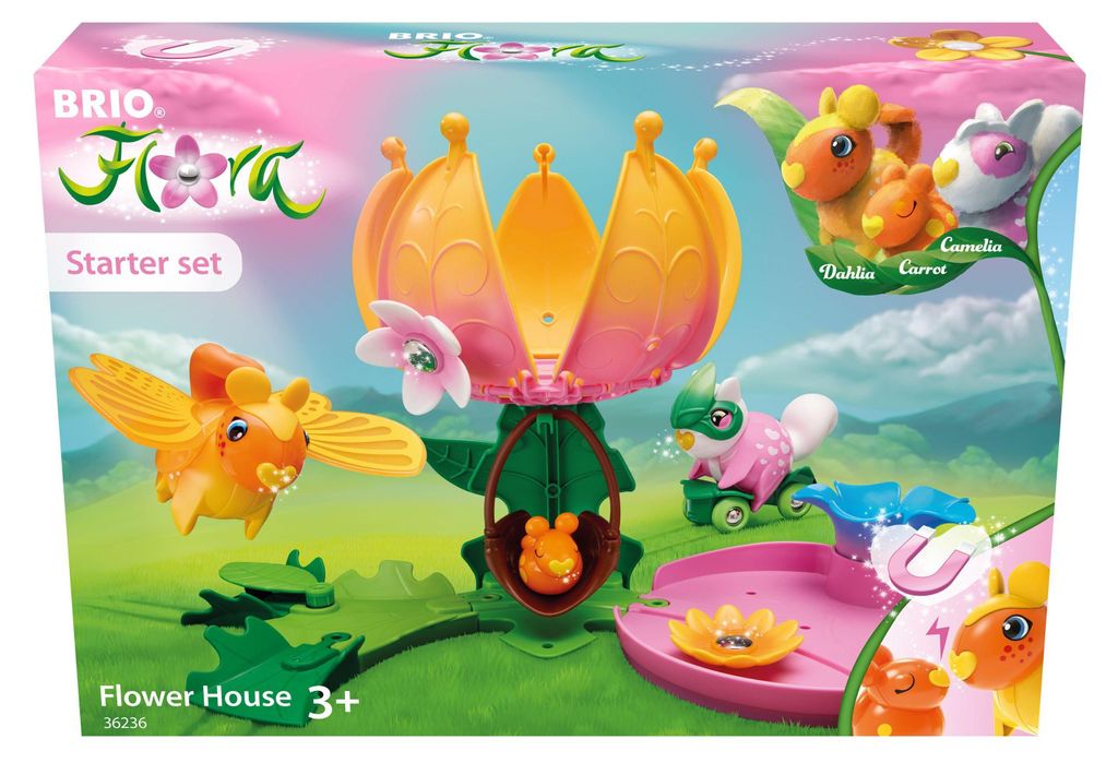 Flora - Starter-Set Blumenhaus Produktbild 