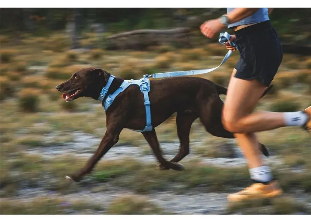 Collier Chien Réglable Ruffwear Front Range Flex Confort Bleu Polaire - 9