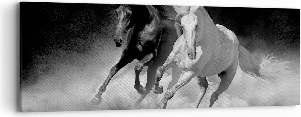 Bild auf Leinwand - Leinwandbild - Einteilig - Andalusier Pferde Galopp - 90x30cm - Wand Bild - Wanddeko - Wandbilder - Leinwanddruck - Bilder - Wa...