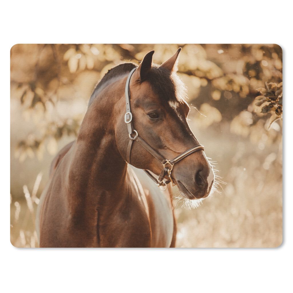 MuchoWow Mauspad Mousepad Pferd - Sonne - Porträt - Natur - Braun 23x19 cm - Mousepads - Maus Mat - Pad - Mausunterlage - Schreibtischunterlage ...