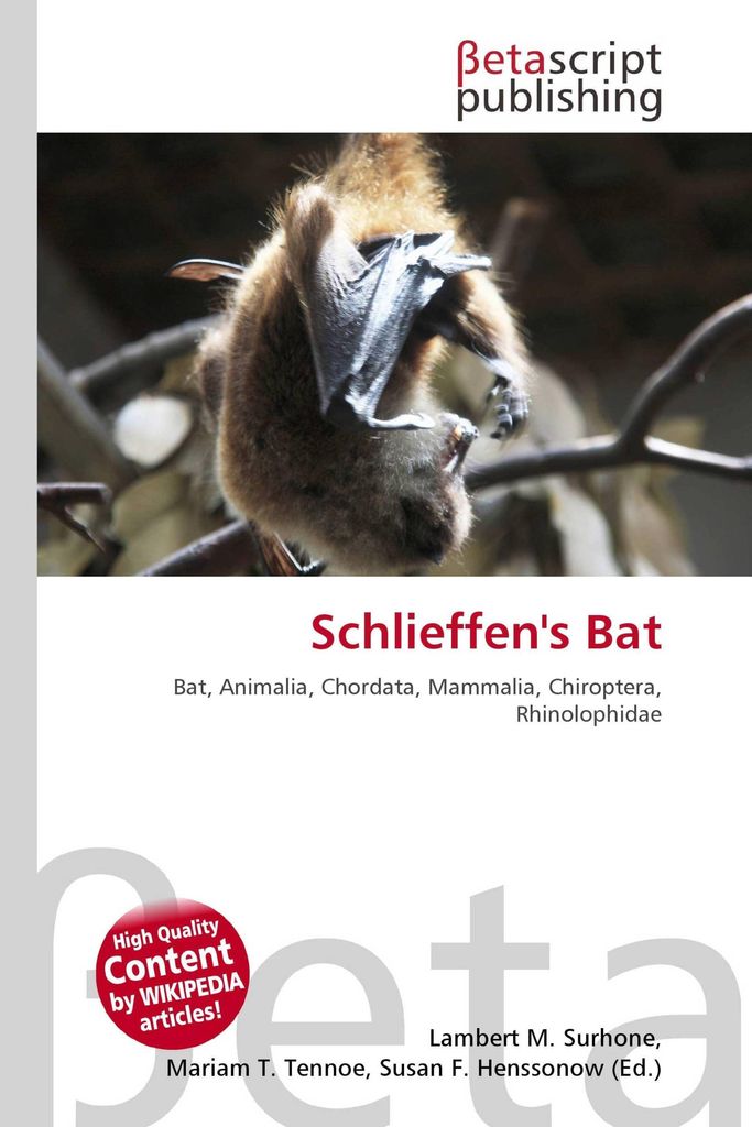 Schlieffen's Bat