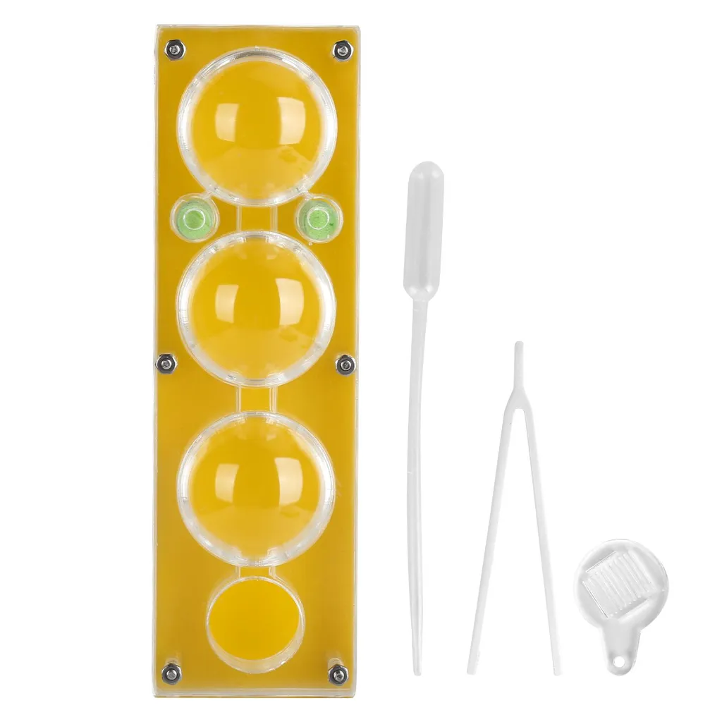 Ameisen Zuchtbox Acrylique Transparente - Humidification Automatique