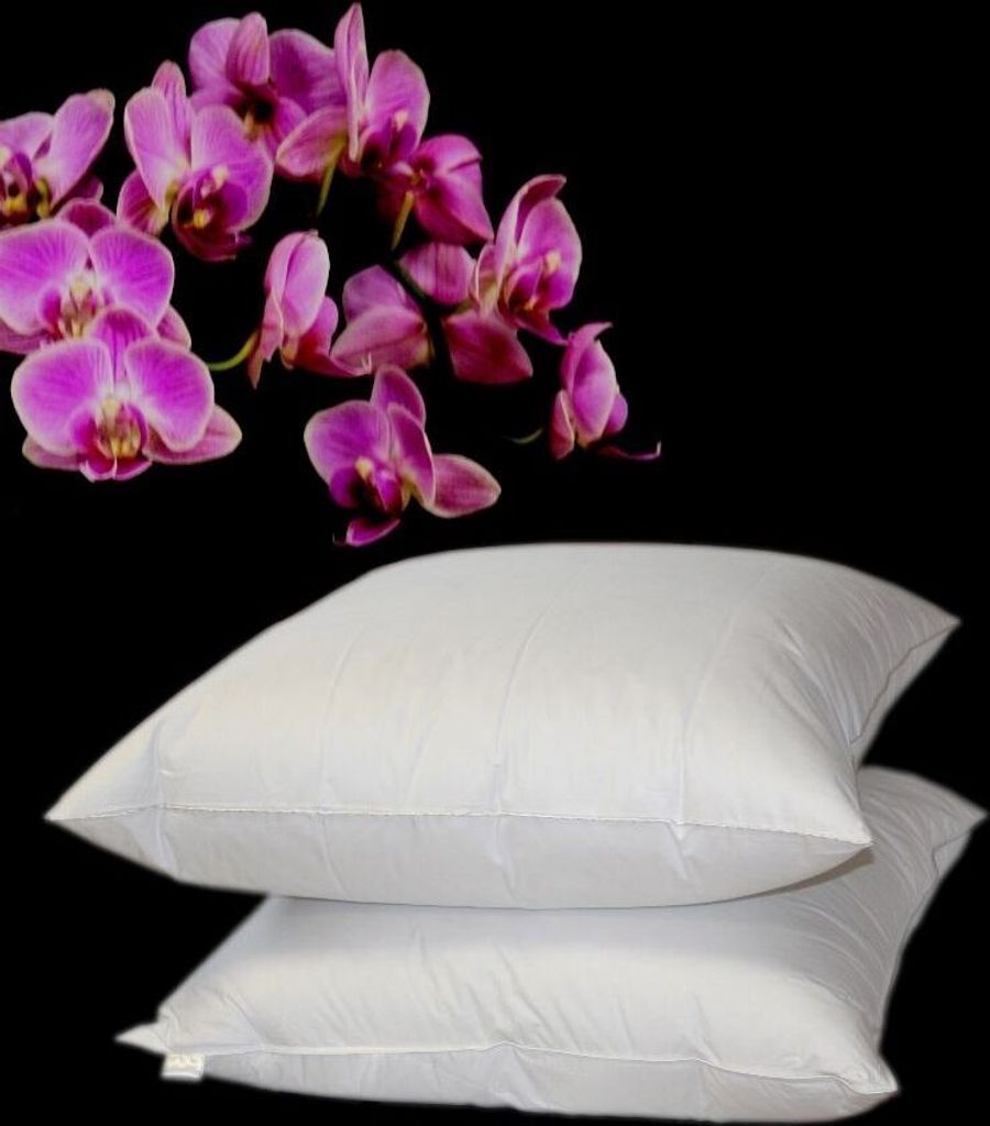 Betten Hofmann Premium Royal Night Kissen Kopfkissen 80x80 Daunen-Federkissen 30% Daunen 800g