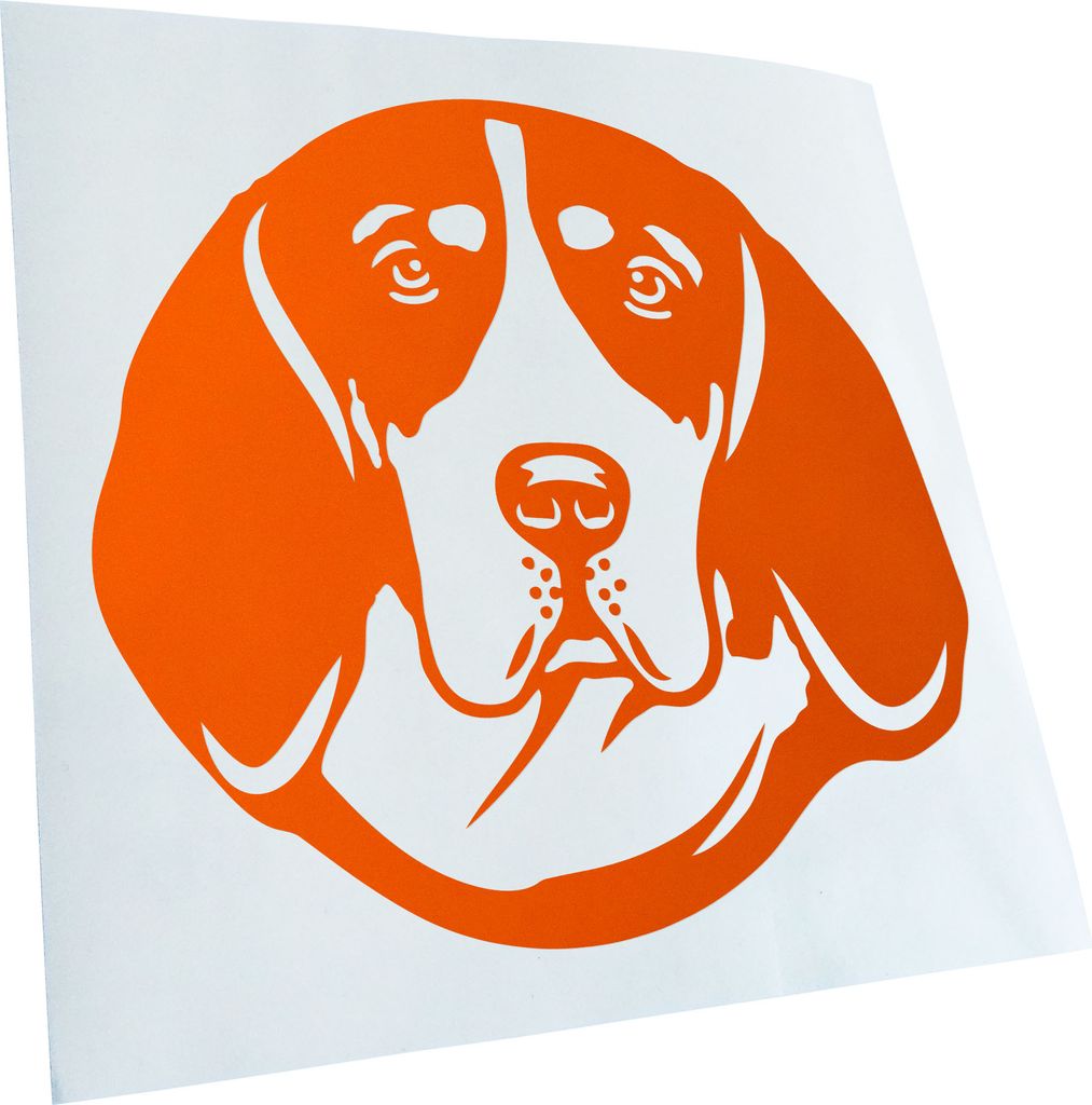 Kiwistar - Autoaufkleber - American English Coonhound - Orange - 60x55cm - Aufkleber für Auto, Laptop, Fahrrad, LKW, Motorrad mehrfarbig JDM Decal...