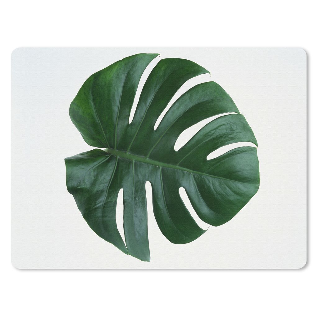 MuchoWow Mauspad Mousepad Monsterblatt auf weißem Hintergrund 40x30 cm - Mousepads - Maus Mat - Pad - Mausunterlage - Anti Rutsch
