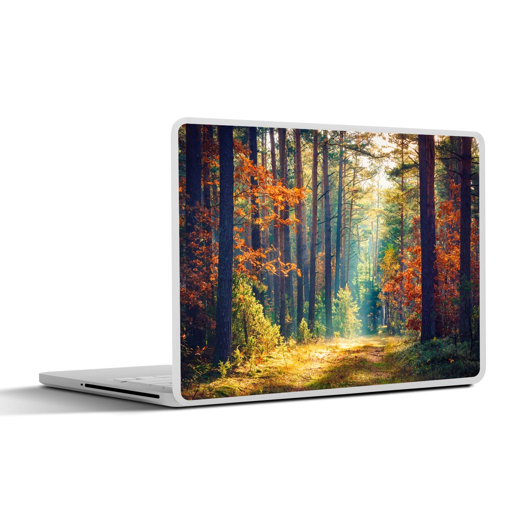 MuchoWow Laptop Aufkleber Sticker Cover Wald - Sonne - Natur - Herbst 31x22.5 cm - Laptop-Deko