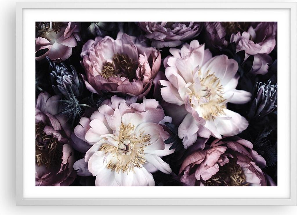 Gerahmtes Poster - Weißer Rahmen - Pfingstrosen Veilchen Blumen - 70x50 cm - Wand Bild - Wanddeko - Wandbilder - Kunstposter - Wandposter - Bilder...