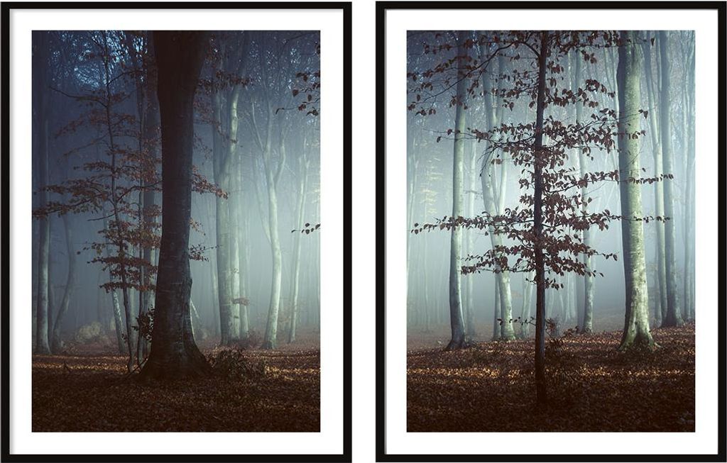 BILDPOSTER IM RAHMEN 53x73cm Diptychon Set mit 2 Gemälden Dark Forest P2091