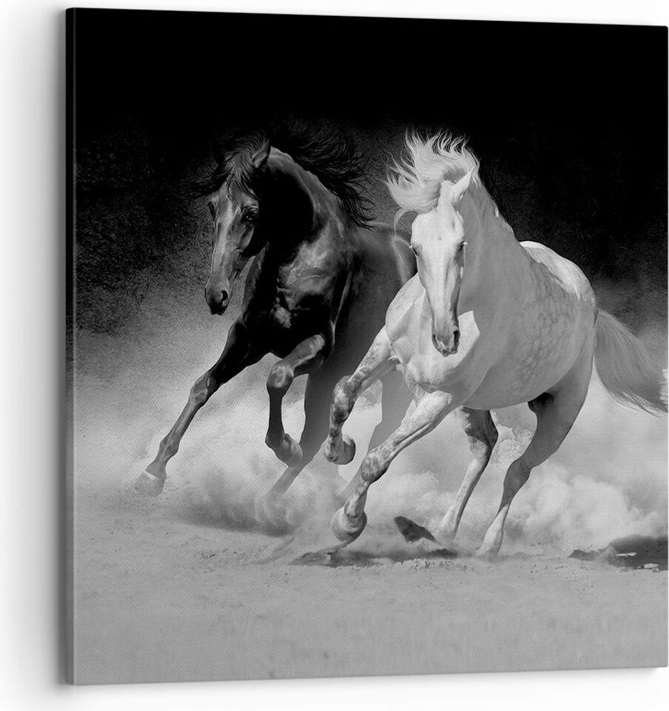 Bild auf Leinwand - Leinwandbild - Einteilig - Andalusier Pferde Galopp - 70x70cm - Wand Bild - Wanddeko - Wandbilder - Leinwanddruck - Bilder - Wa...