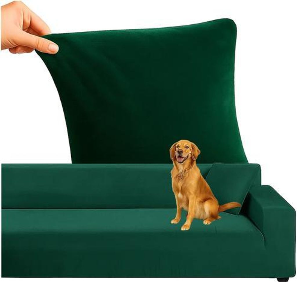 A hand is stretching a green sofa cover over a sofa, and a golden retriever dog is sitting on the sofa.