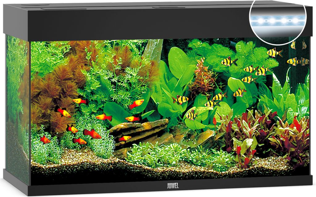 Akvárium set Rio LED 125 černé 125 l Obrázek produktu