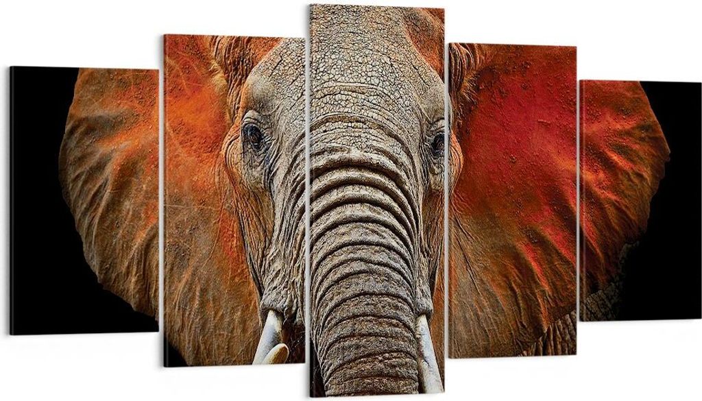 Bild auf Leinwand - Leinwandbild - 5 Teile - Elefant Rot Ohren - 160x85cm - Wand Bild - Wanddeko - Wandbilder - Leinwanddruck - Bilder - Wanddekora...