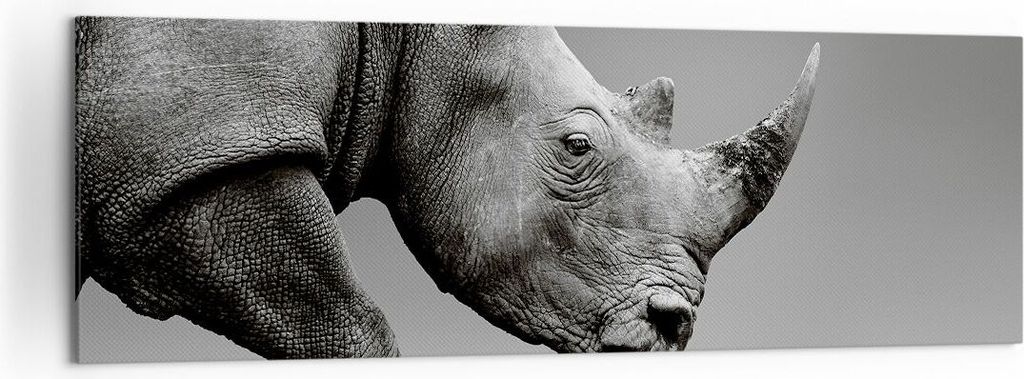 Bild auf Leinwand - Leinwandbild - Einteilig - Nashorn Monochrom Tier - 160x50cm - Wand Bild - Wanddeko - Wandbilder - Leinwanddruck - Bilder - Wan...