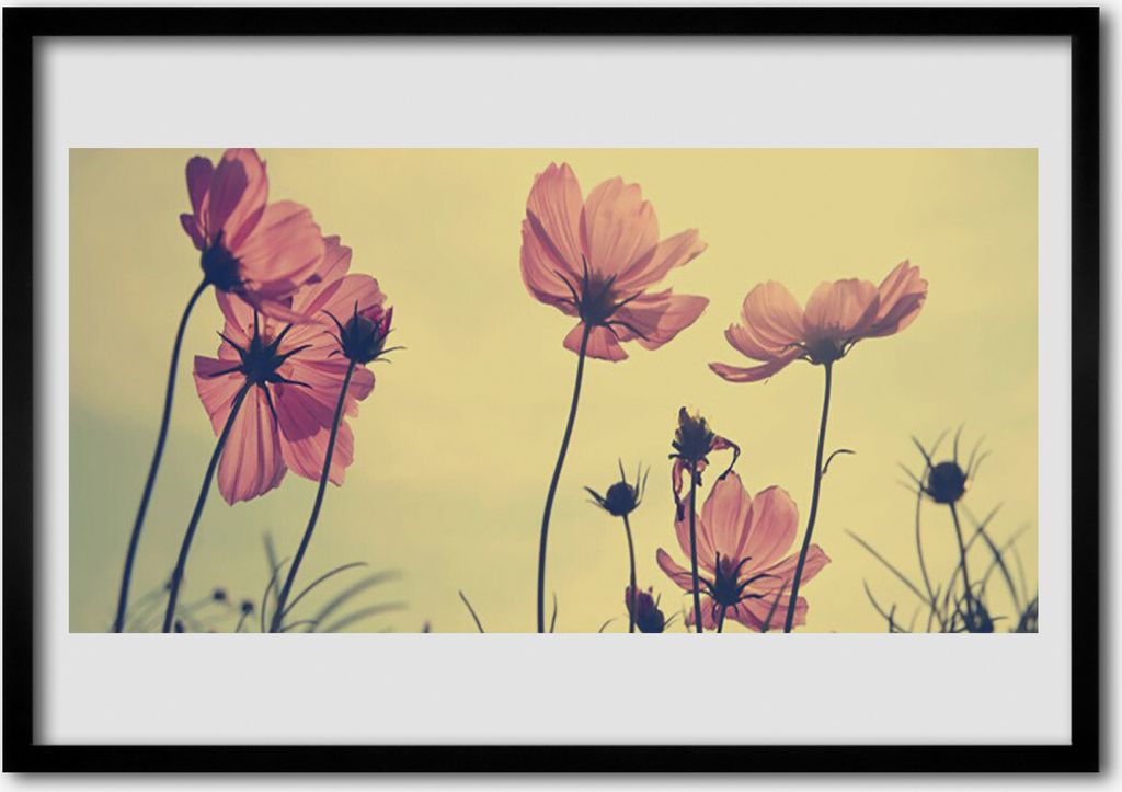 Bild 70x50 MDF-Rahmen Wandkunst Blumen Pflanzen Natur